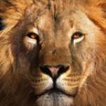 Yah4Life Media profile picture