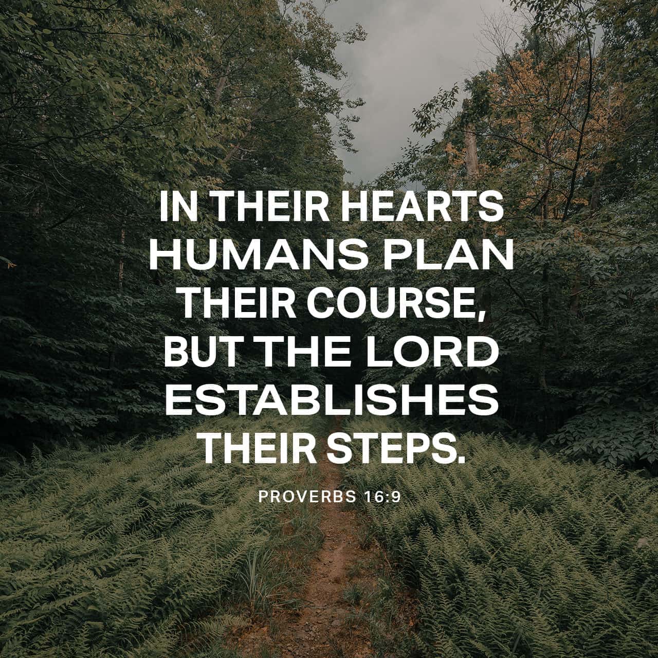 Mishlĕ (Proverbs) 16:9 A man’s heart plans his way, But יהוה establishes his steps. | The Scriptures 2009 (TS2009) | Download The Bible App Now