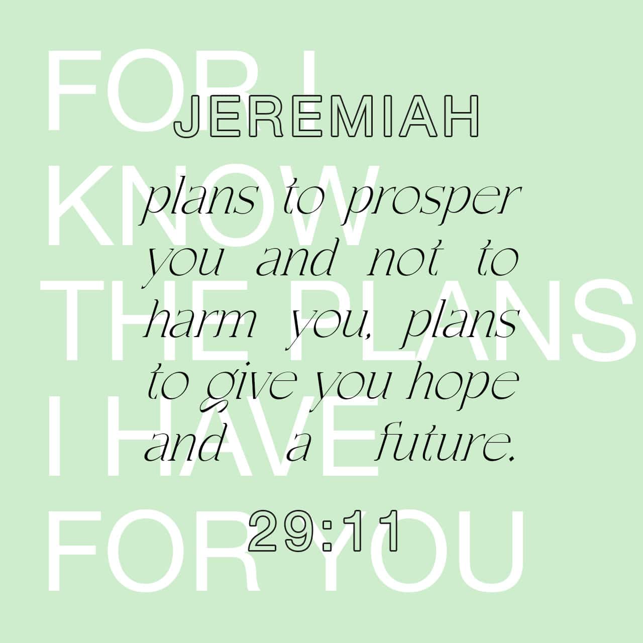 Yirmeyahu (Jeremiah) 29:11 For I know the plans I am planning for you,’ declares יהוה, ‘plans of peace and not of evil, to give you a future and an expectancy. | The Scriptures 2009 (TS2009) | Download The Bible App Now