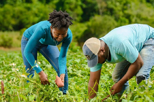 J'cans urged to consider farming as a viable career option