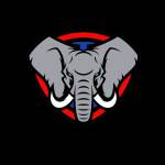 Damon Bazziel Profile Picture