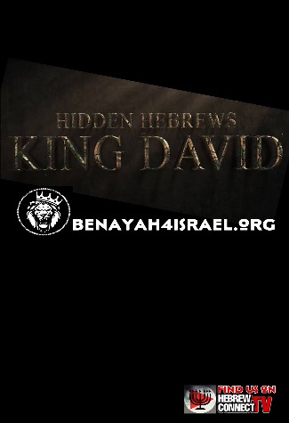 Hidden Hebrews: King David