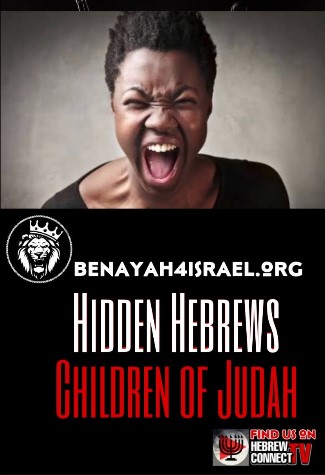 Hidden Hebrews 2