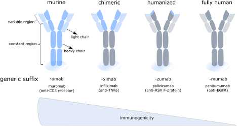 Immunogeneticy