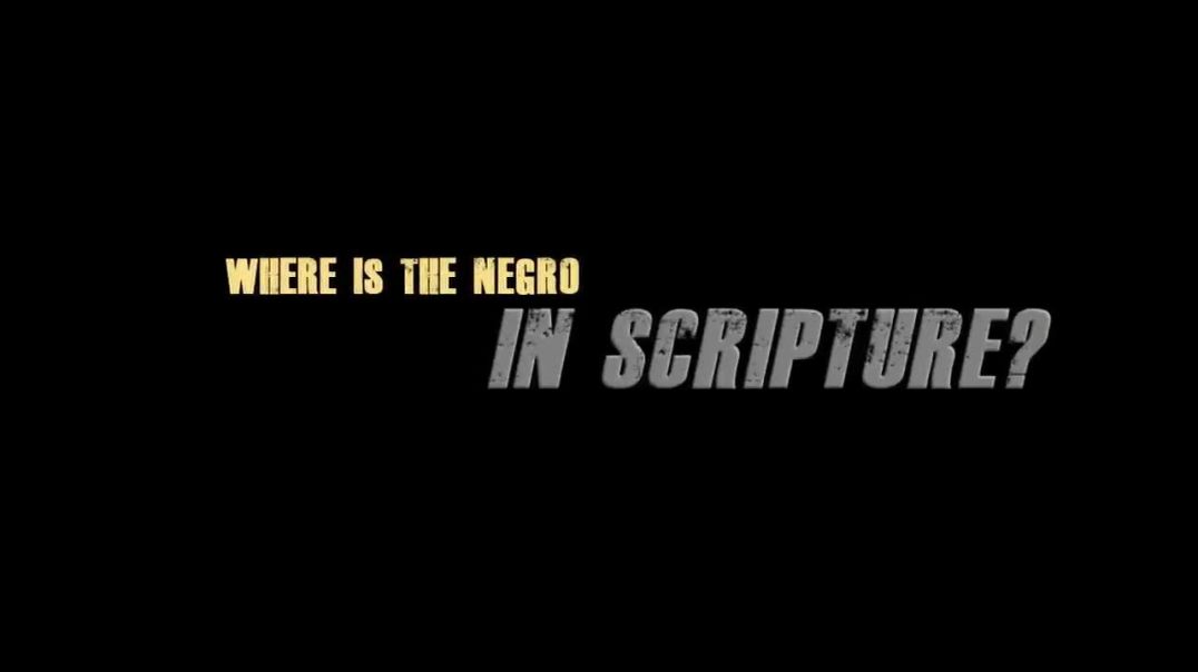WHERE IS THE NEGRO IN SCRIPTURE??