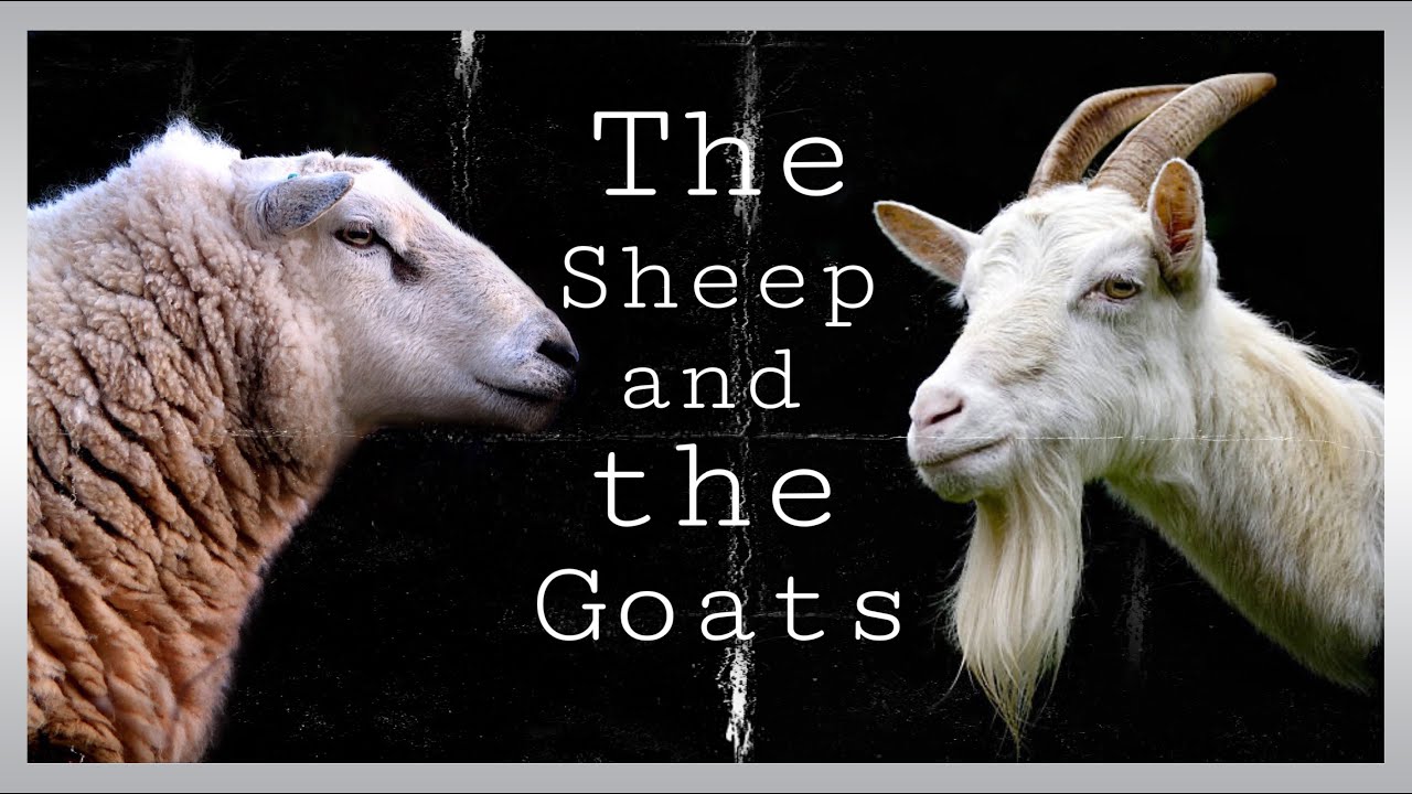 The Sheep and the Goats