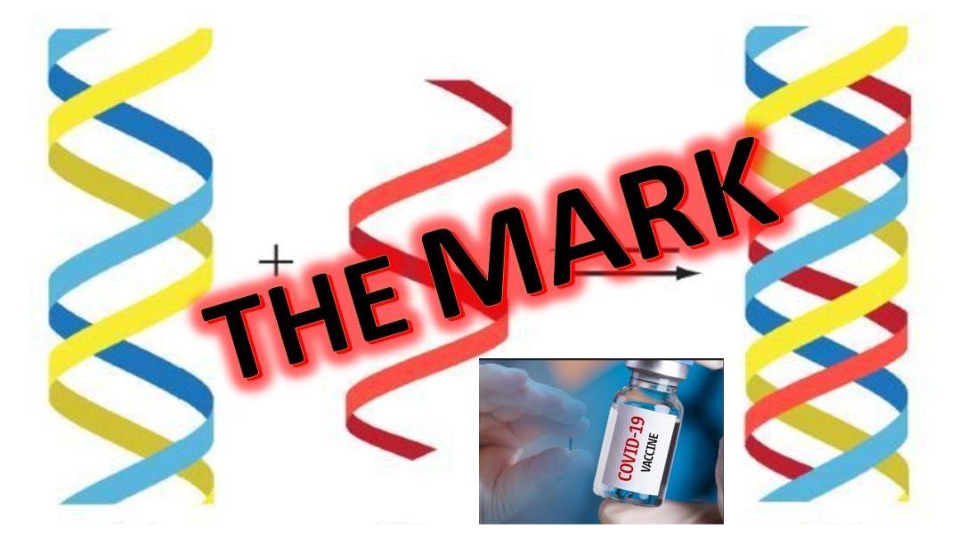 THE MARK