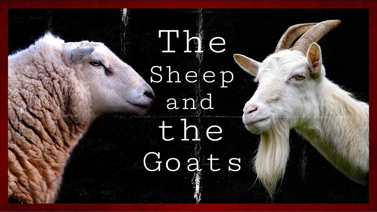 The Sheep and the Goats: Part II
