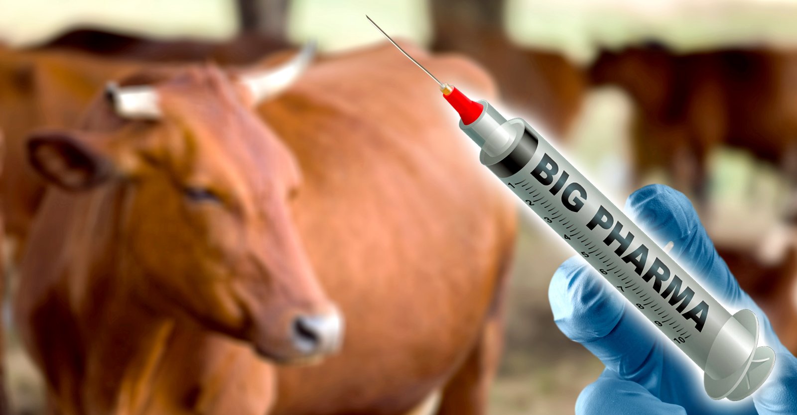 Big Pharma’s $7.2 Billion Cash Cow: Vaccines for Industrial Meat Production • Children's Health Defense