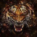 Ezekiel Roddy Profile Picture