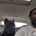James Green Profile Picture