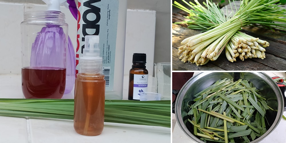 DIY Herbal Mosquito Repellent - The Lost Herbs