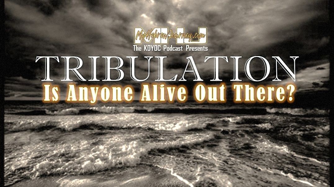 TRIBULATION - IS ANYONE ALIVE OUT THERE?