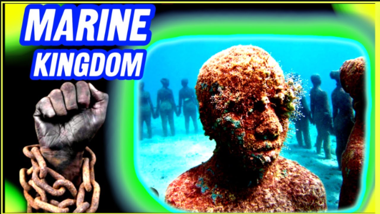 The TRANS ATLANTIC SLAVE WAR Is A LIE!?MARING KINGDOM?HISTORY EXPOSED! - YouTube
