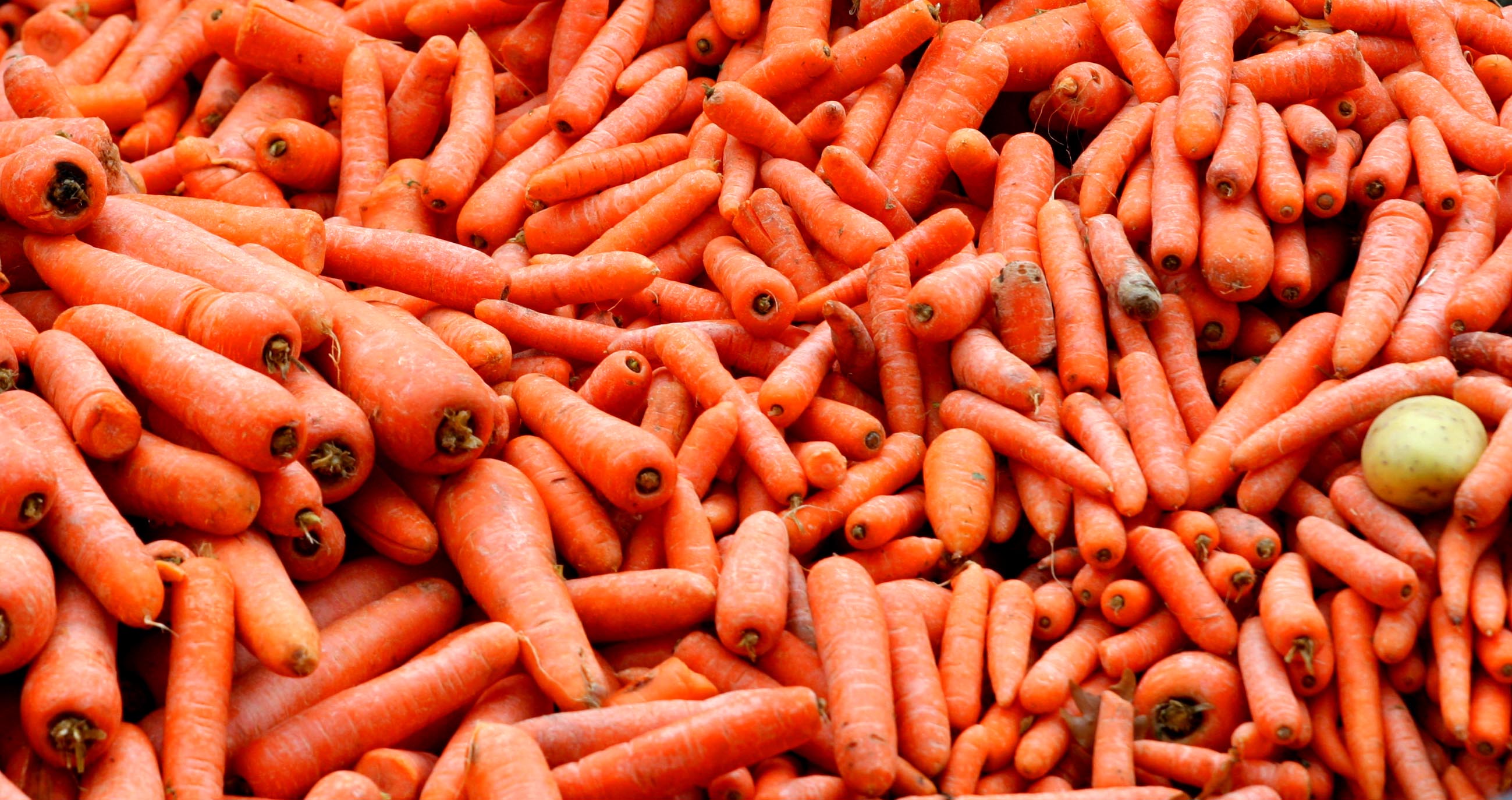 Carrot Recall As Warning Issued Over 19 Brands Sold in Major Stores - Newsweek