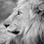 Bantu Prayers Profile Picture