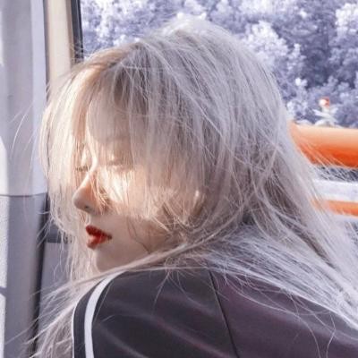 Moonlit Echo Profile Picture
