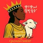The Qadash Sheep Profile Picture