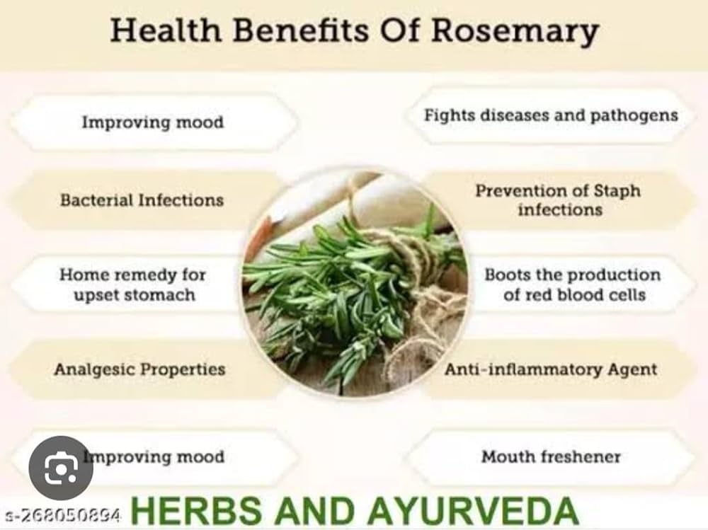 Wellness Wednesdays – MUSIC MESSAGE MINISTRY