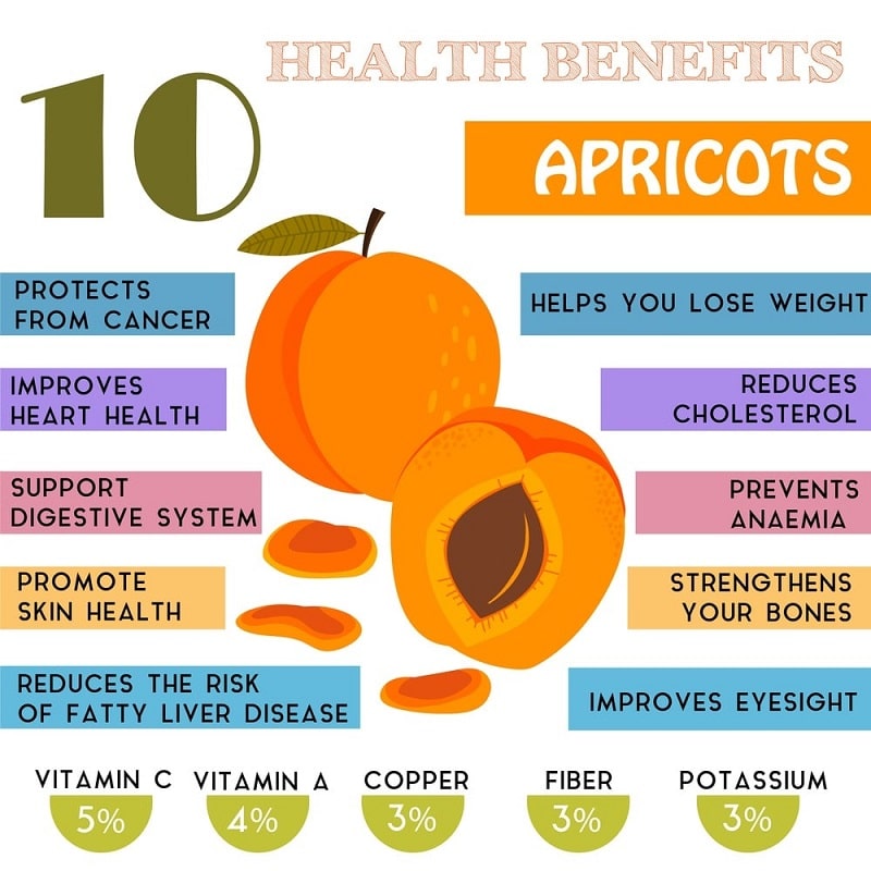 Wellness Wednesdays – MUSIC MESSAGE MINISTRY