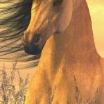 MichelleTruth profile picture