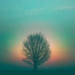 Birthing Titus 2 Profile Picture