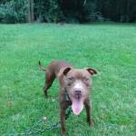 George Dempsey Profile Picture