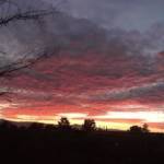 Clean Stomach profile picture