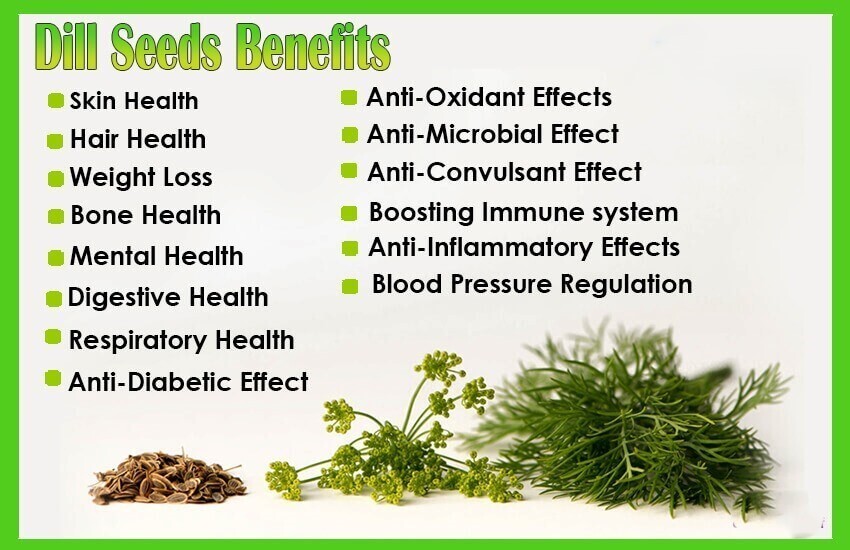 Wellness Wednesdays – MUSIC MESSAGE MINISTRY