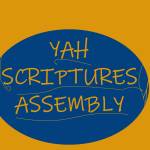 YAH SCRIPTURES ASSEMBLY Profile Picture