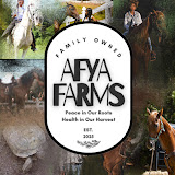 Wellness Wednesdays – MUSIC MESSAGE MINISTRY