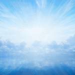 Katrina profile picture